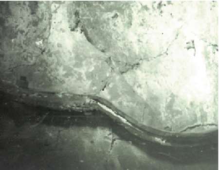 Коррозия между составными частями памятника (снимок сделан с помощью оптоволоконного эндоскопа)